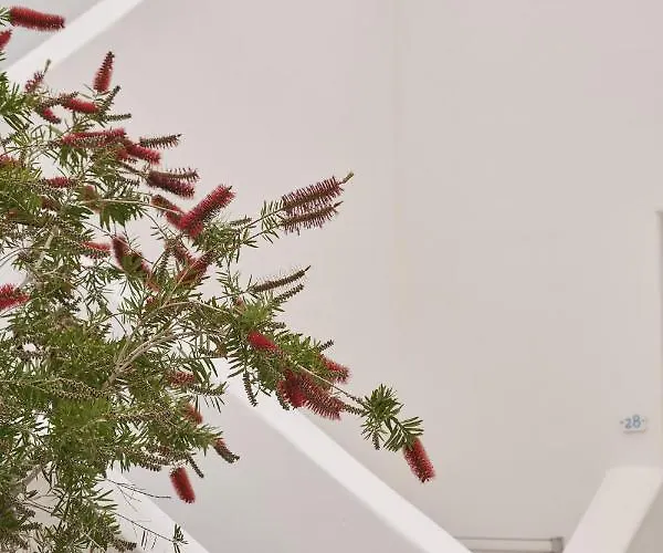 Lejlighedshotel Makris 3*